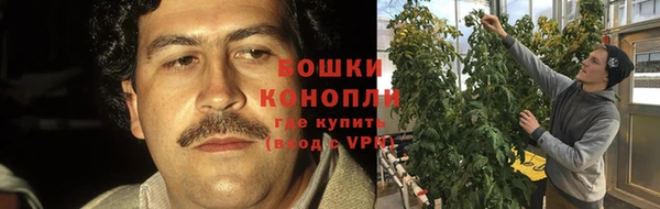 эйфоретик Богданович
