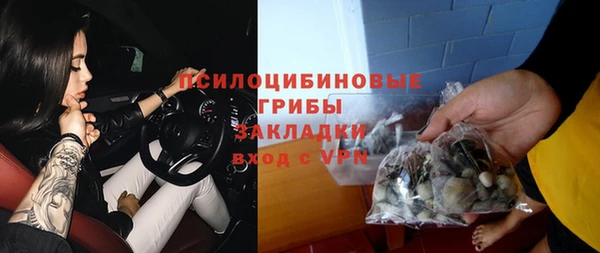 эйфоретик Богданович