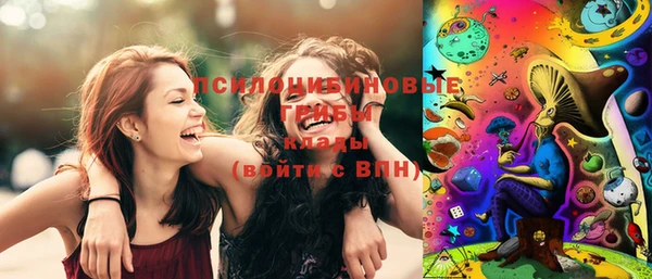 эйфоретик Богданович
