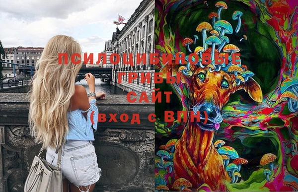 эйфоретик Богданович